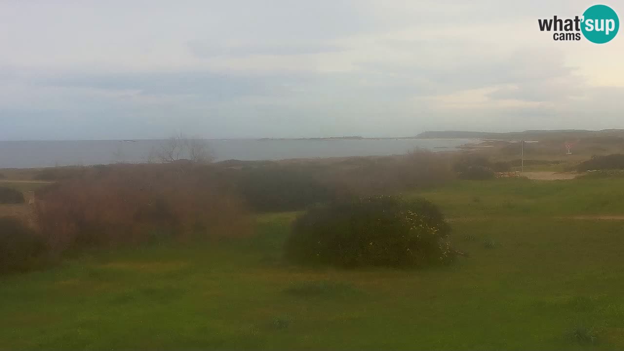 Playa Mari Ermi | Is Arutas – Oristano