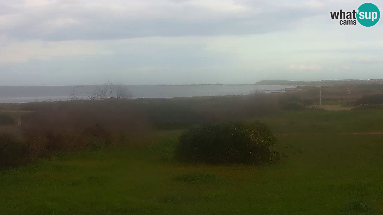 Plage Mari Ermi | Is Arutas – Oristano