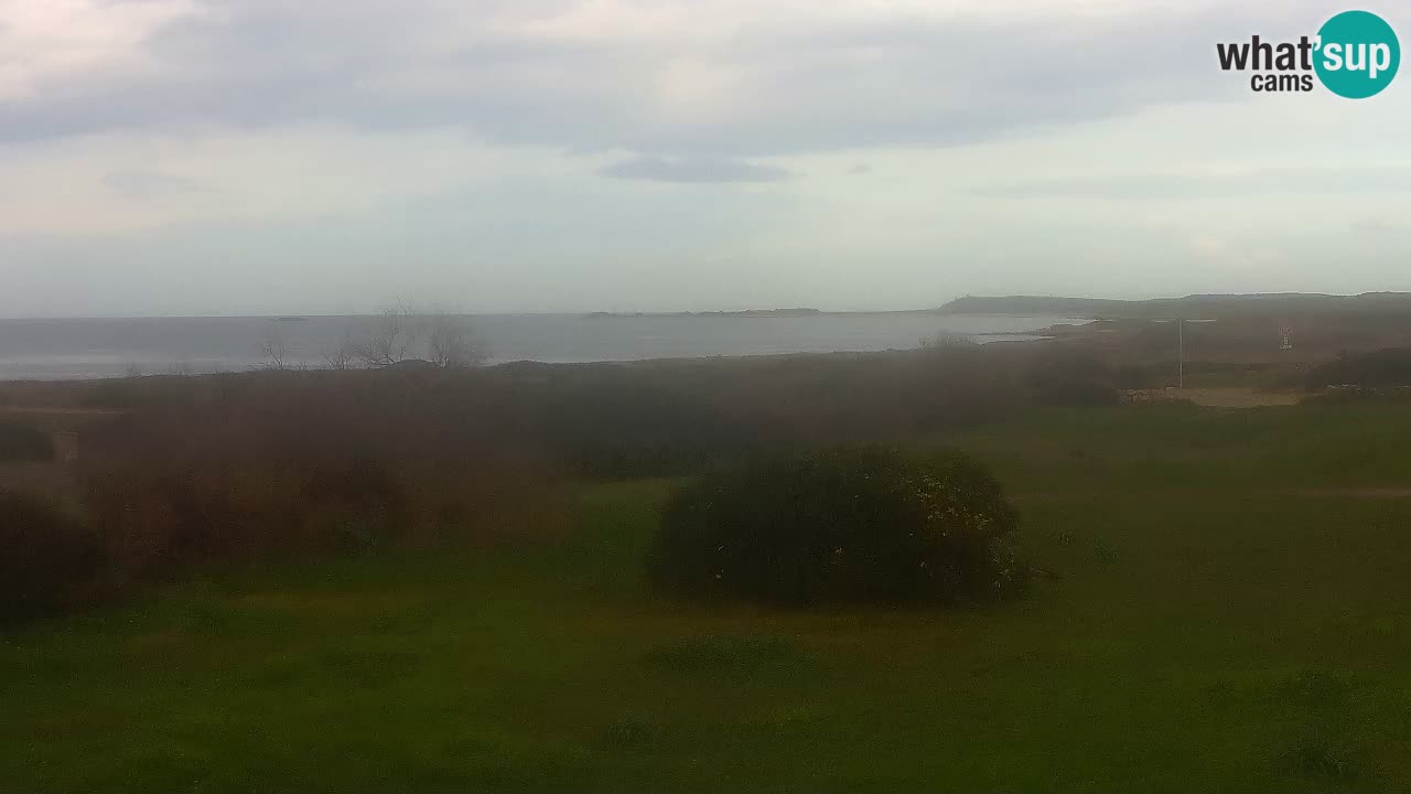 Spiaggia Mari Ermi | Is Arutas – Oristano