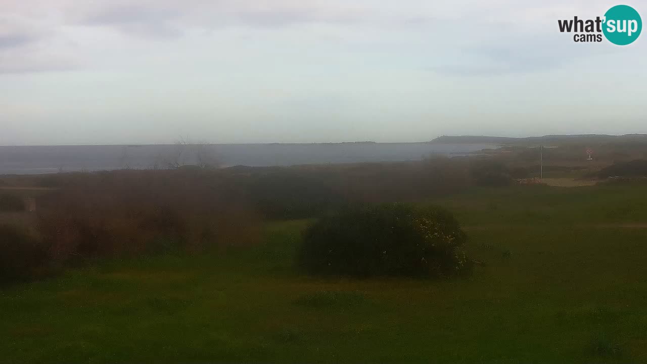 Plage Mari Ermi | Is Arutas – Oristano