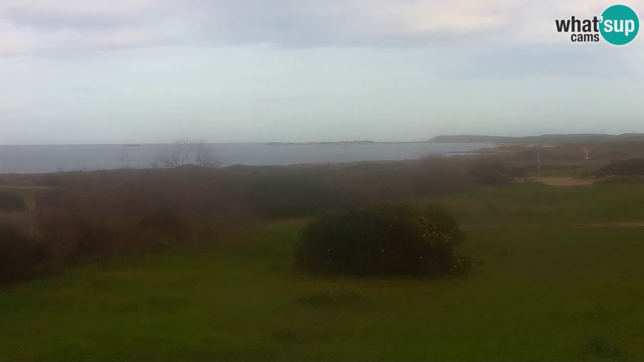 Mari Ermi Strand | Is Arutas – Oristano