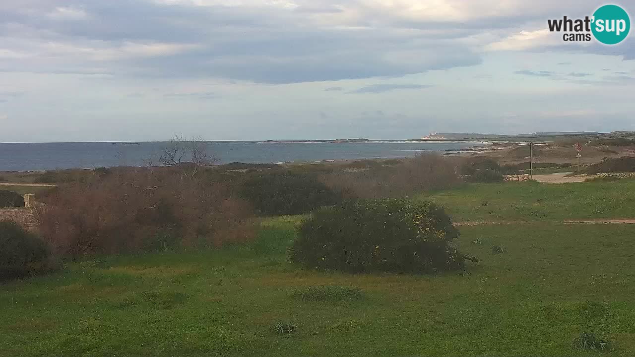 Mari Ermi beach | Is Arutas – Oristano