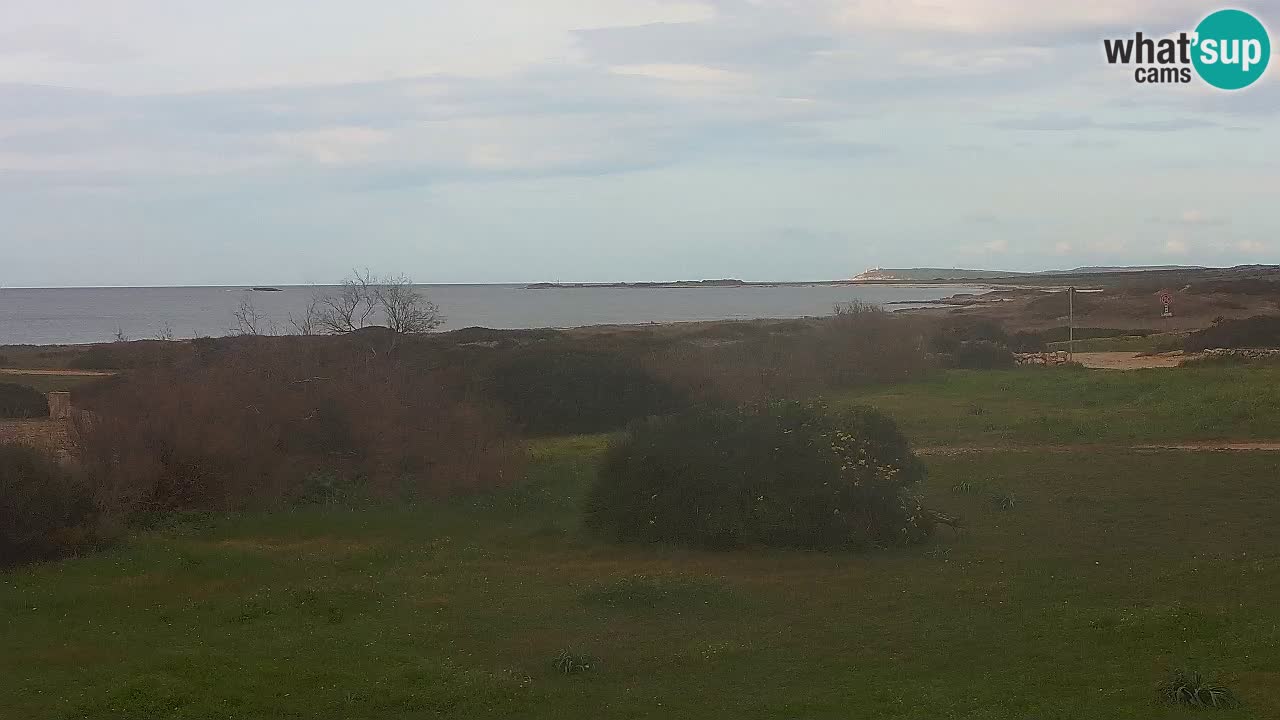 Plaža Mari Ermi | Is Arutas – Oristano