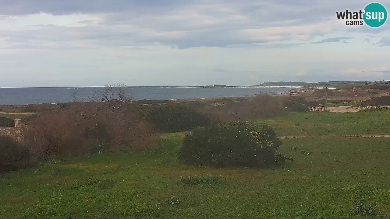 Plaža Mari Ermi | Is Arutas – Oristano