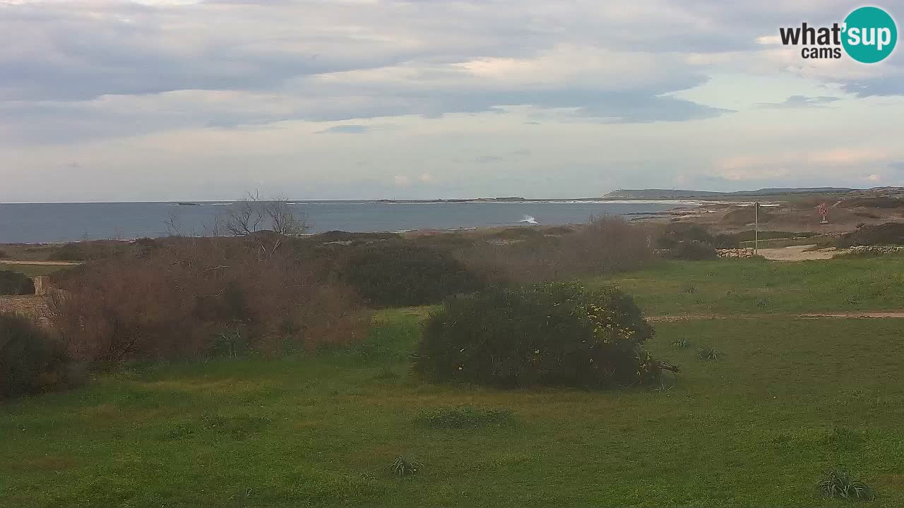 Plaža Mari Ermi | Is Arutas – Oristano