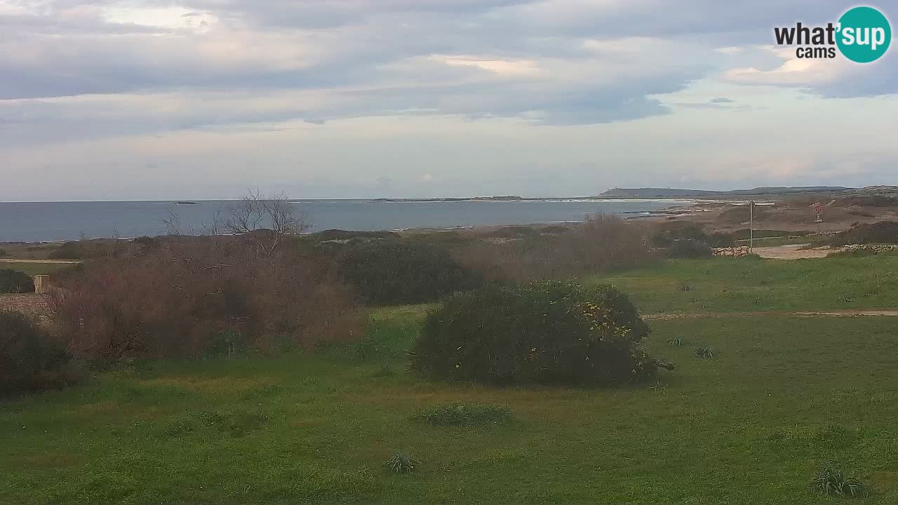 Playa Mari Ermi | Is Arutas – Oristano