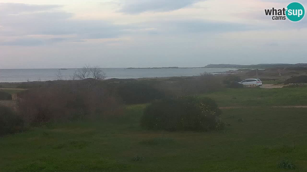 Mari Ermi beach | Is Arutas – Oristano