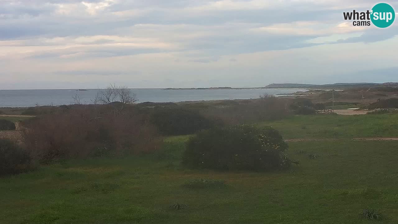 Mari Ermi beach | Is Arutas – Oristano