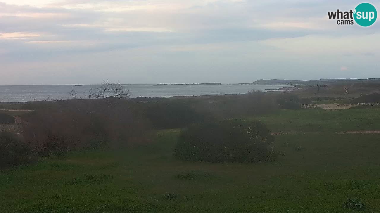 Plaža Mari Ermi | Is Arutas – Oristano