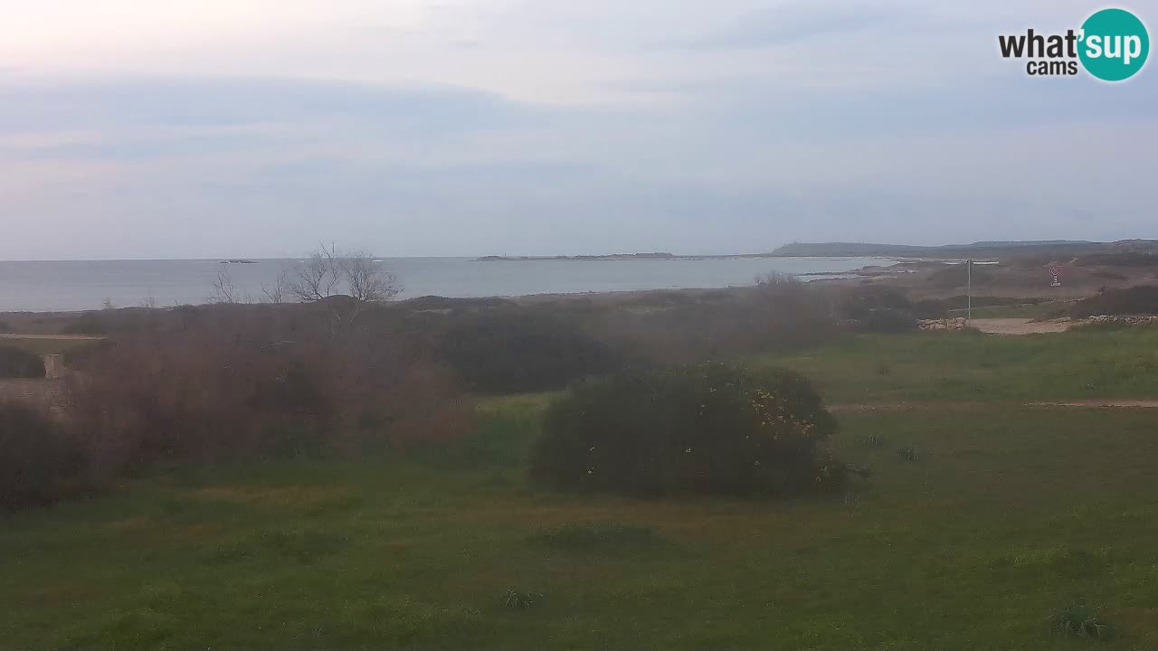 Playa Mari Ermi | Is Arutas – Oristano