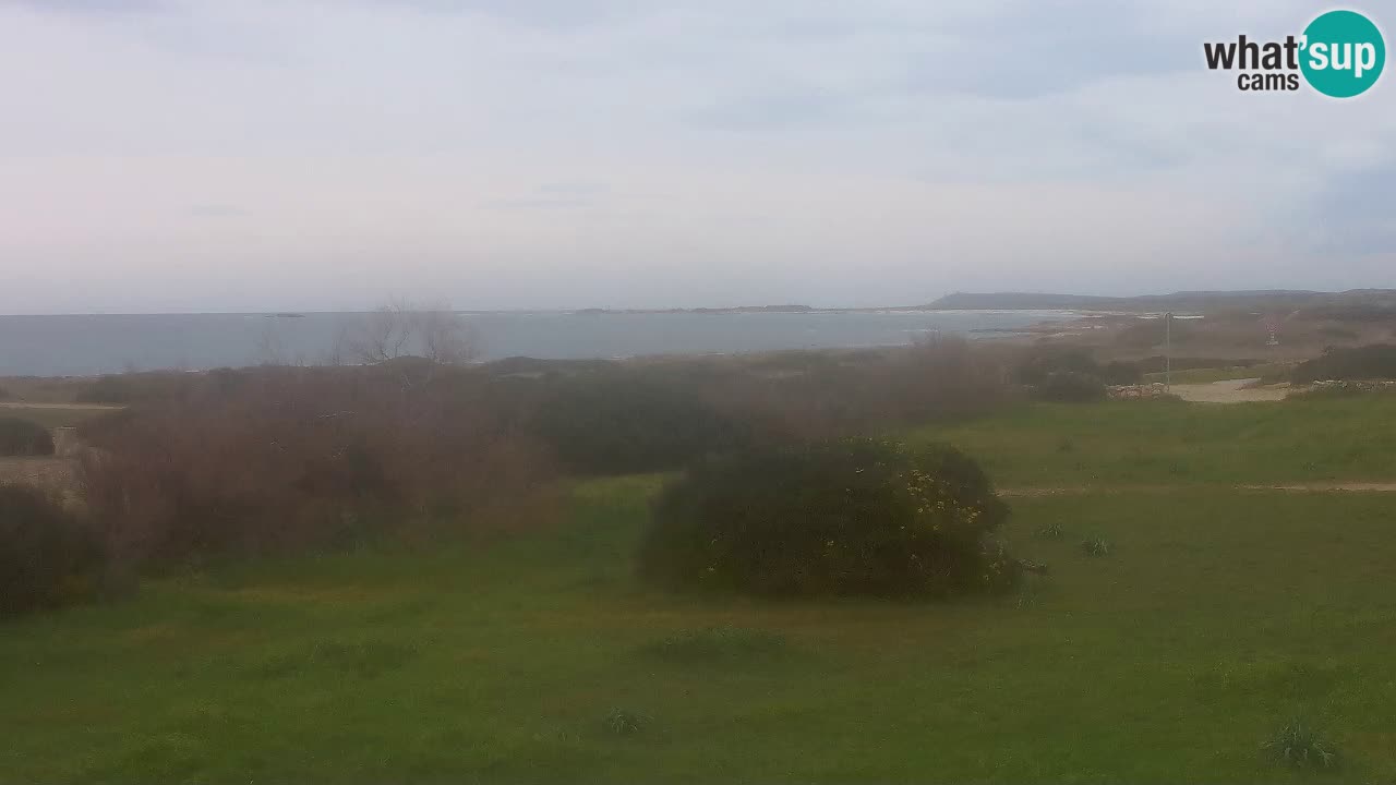 Playa Mari Ermi | Is Arutas – Oristano