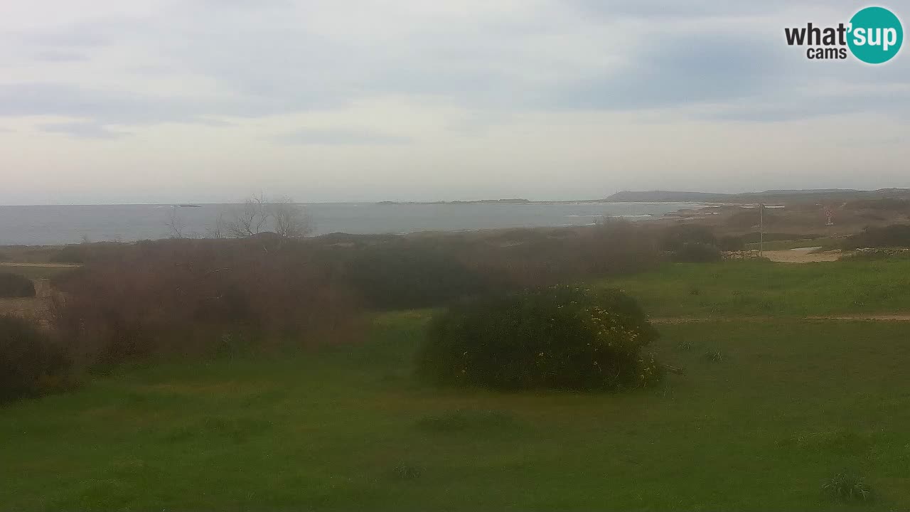 Mari Ermi beach | Is Arutas – Oristano