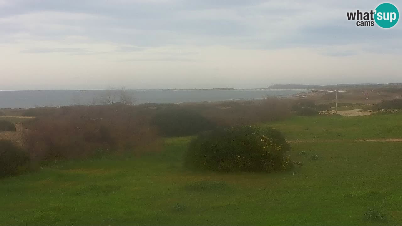 Playa Mari Ermi | Is Arutas – Oristano