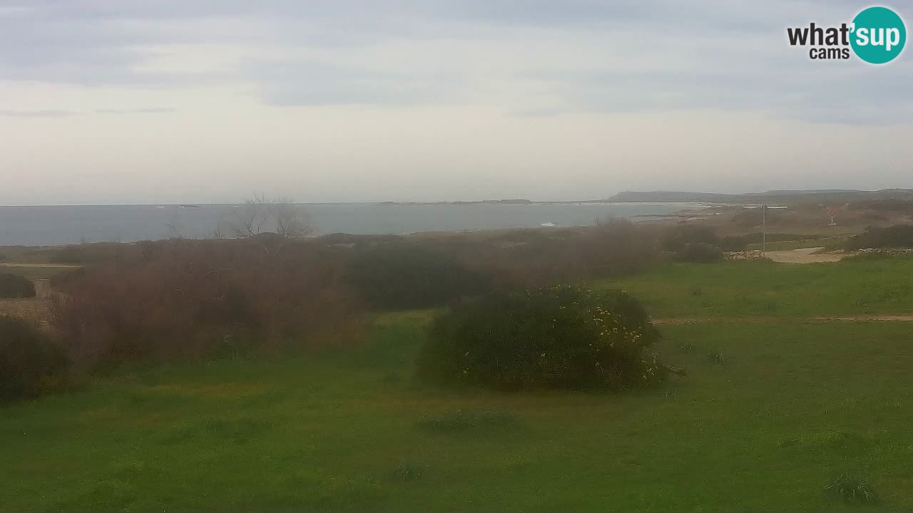 Plaža Mari Ermi | Is Arutas – Oristano