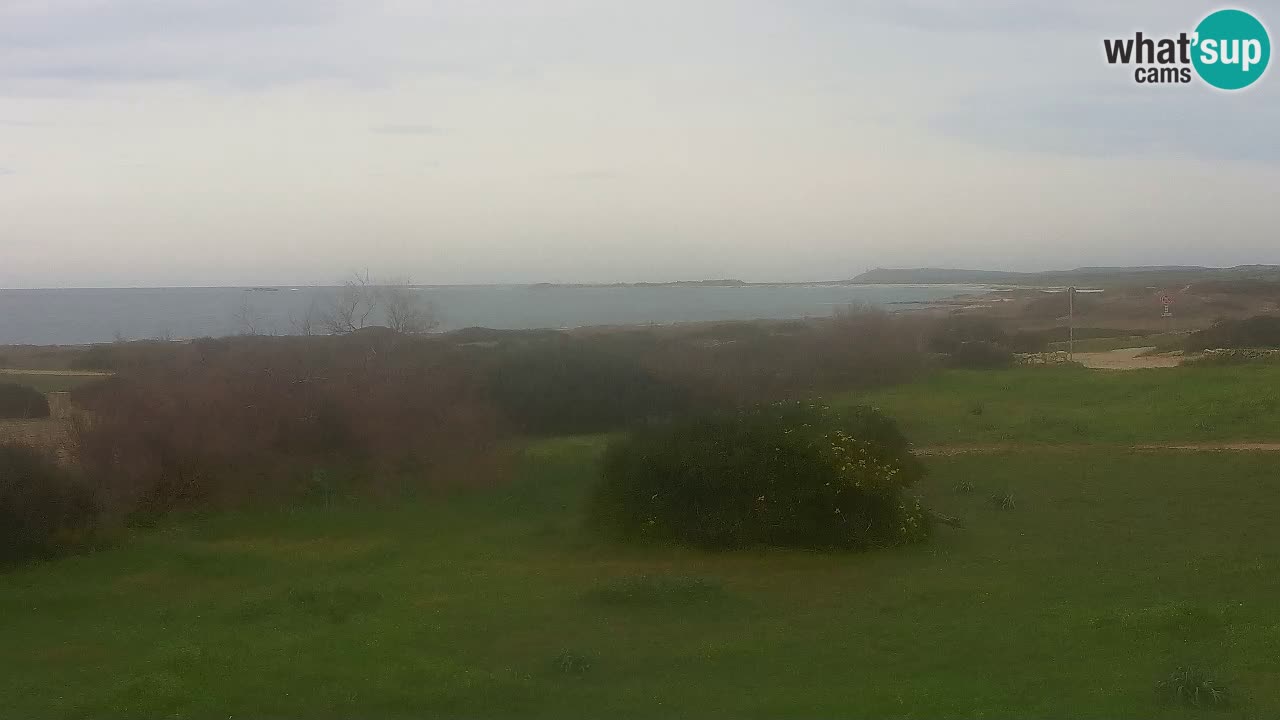 Mari Ermi beach | Is Arutas – Oristano