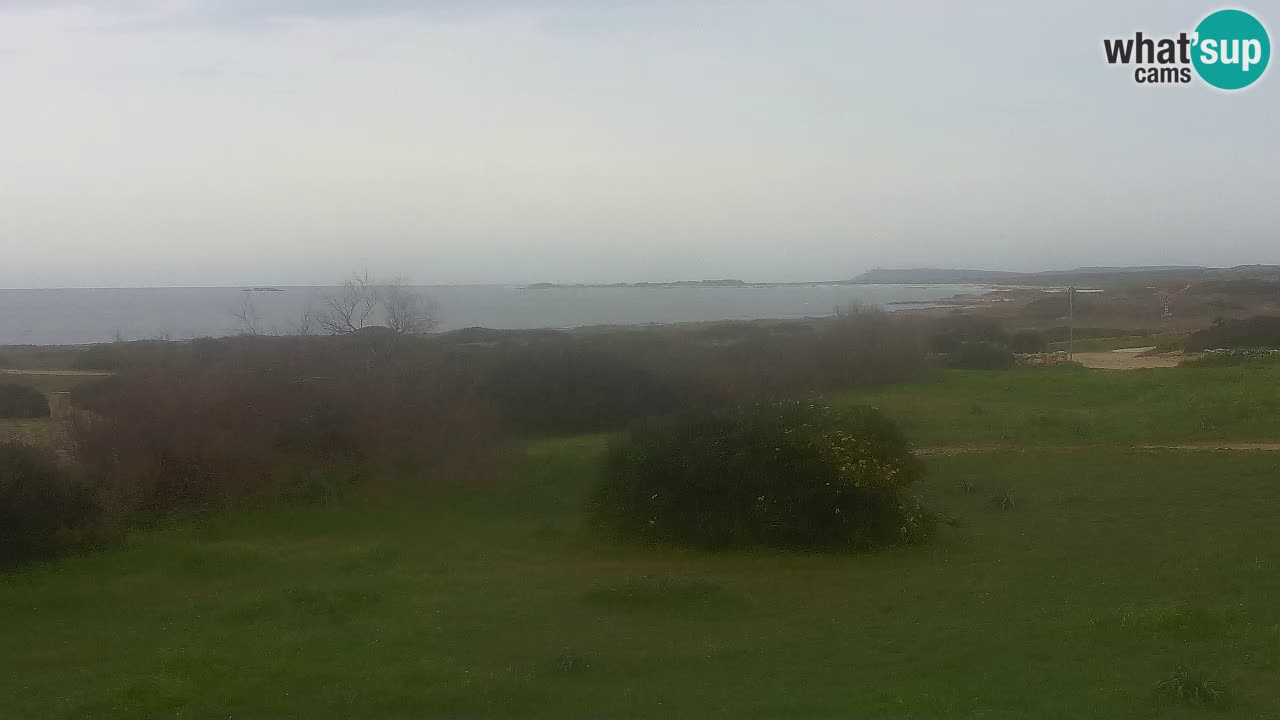 Mari Ermi beach | Is Arutas – Oristano