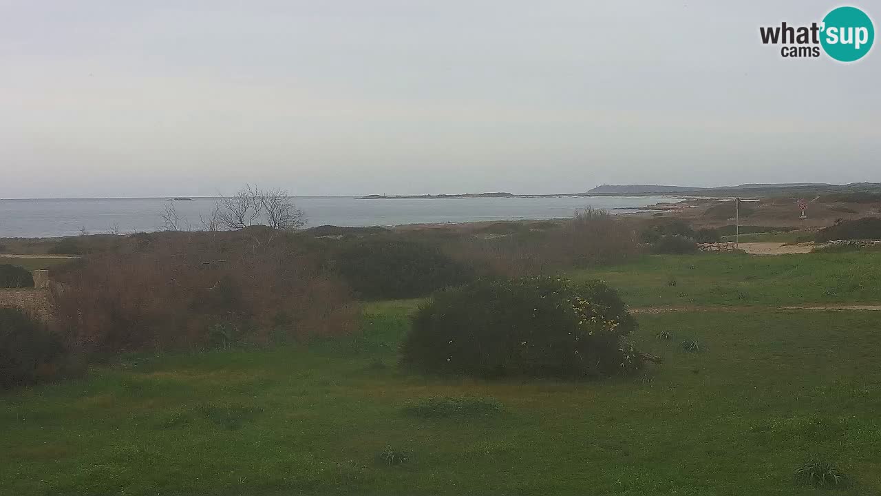 Mari Ermi Strand | Is Arutas – Oristano