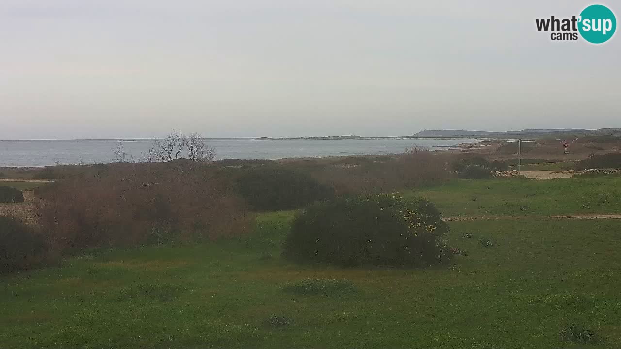 Mari Ermi beach | Is Arutas – Oristano