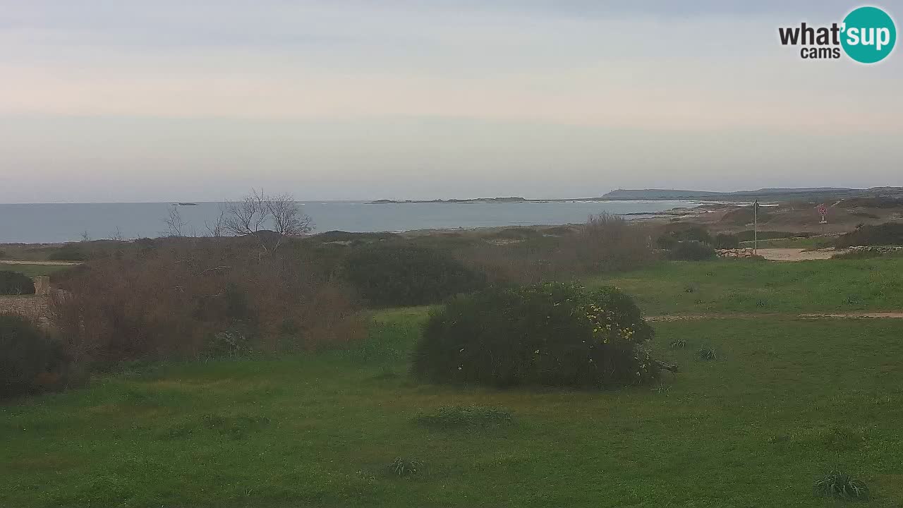 Mari Ermi Strand | Is Arutas – Oristano