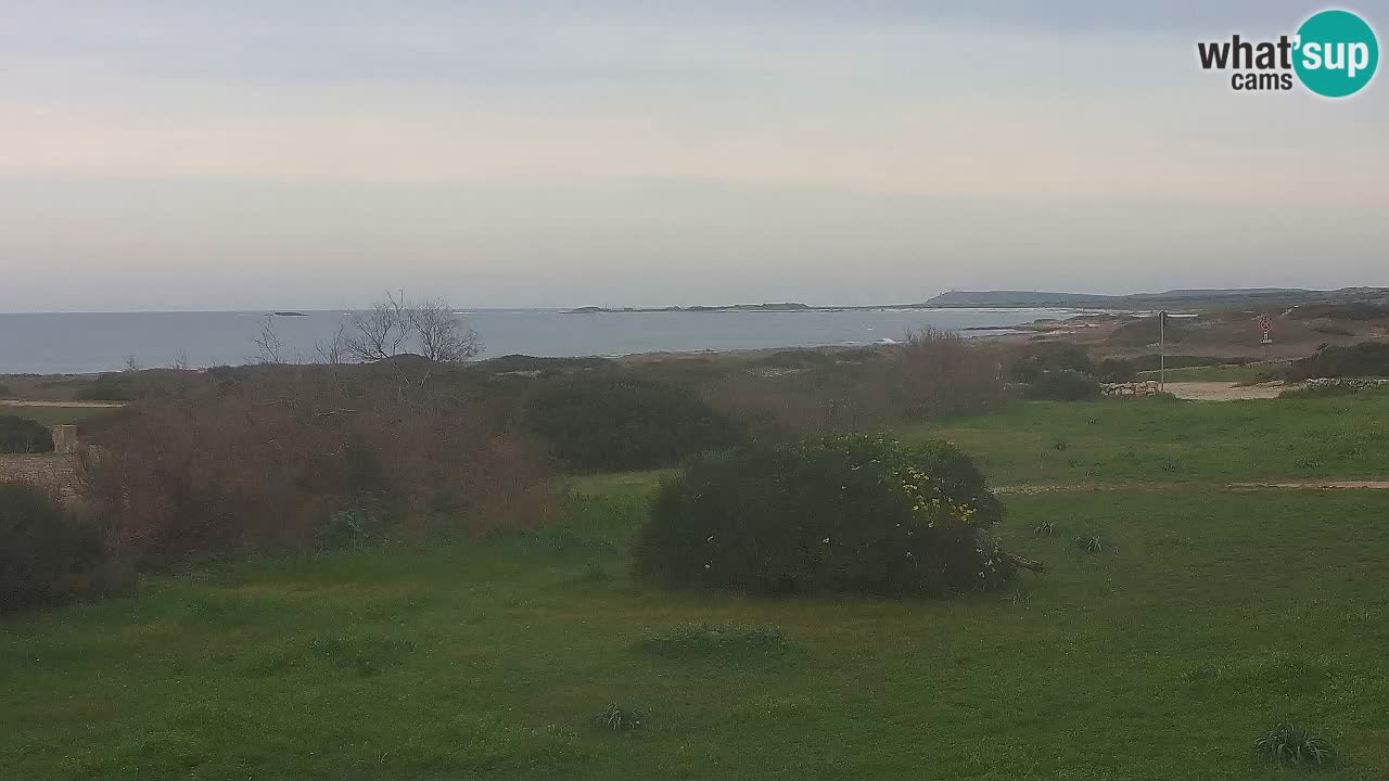 Mari Ermi Strand | Is Arutas – Oristano