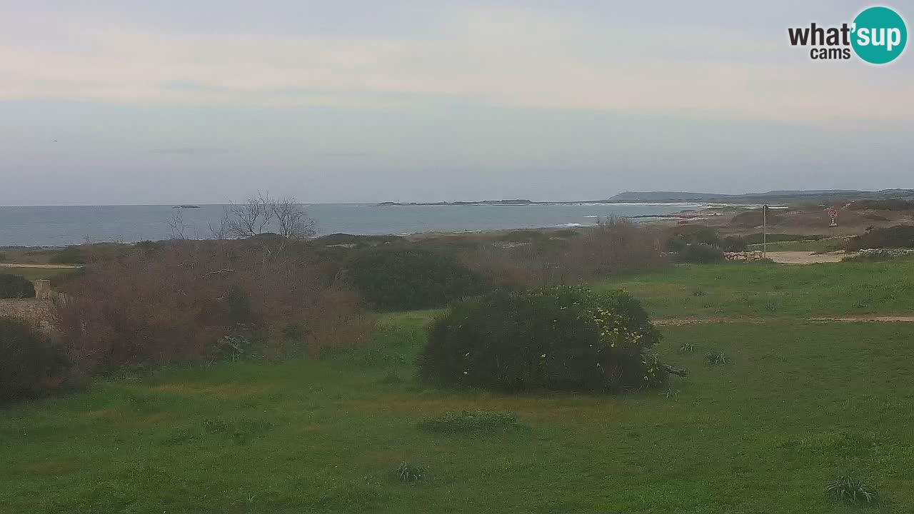 Spiaggia Mari Ermi | Is Arutas – Oristano