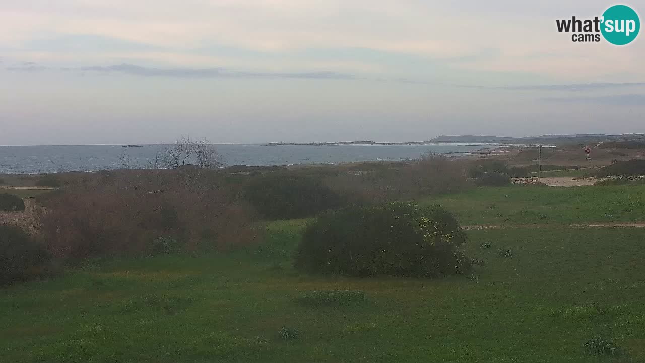 Mari Ermi Strand | Is Arutas – Oristano