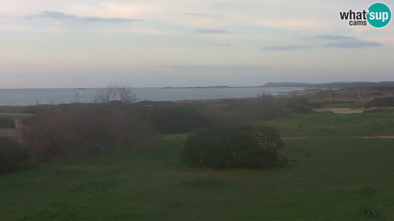 Mari Ermi Strand | Is Arutas – Oristano