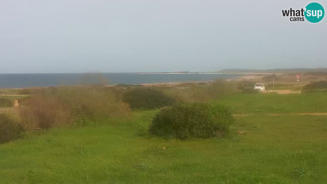 Playa Mari Ermi | Is Arutas – Oristano