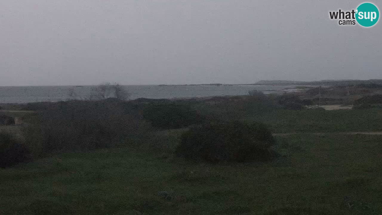 Plaža Mari Ermi | Is Arutas – Oristano