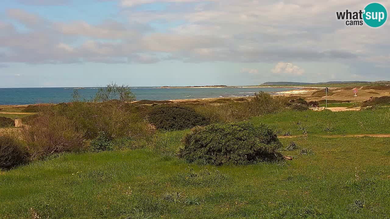 Playa Mari Ermi | Is Arutas – Oristano