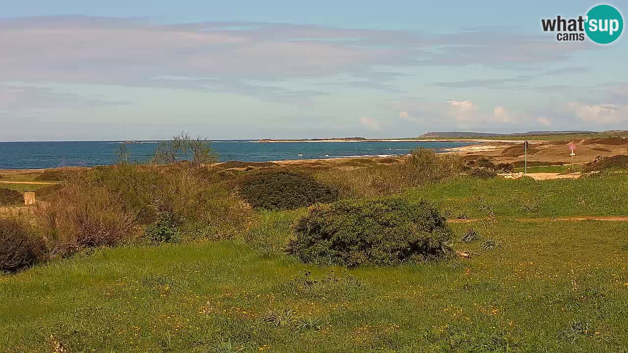 Mari Ermi beach | Is Arutas – Oristano