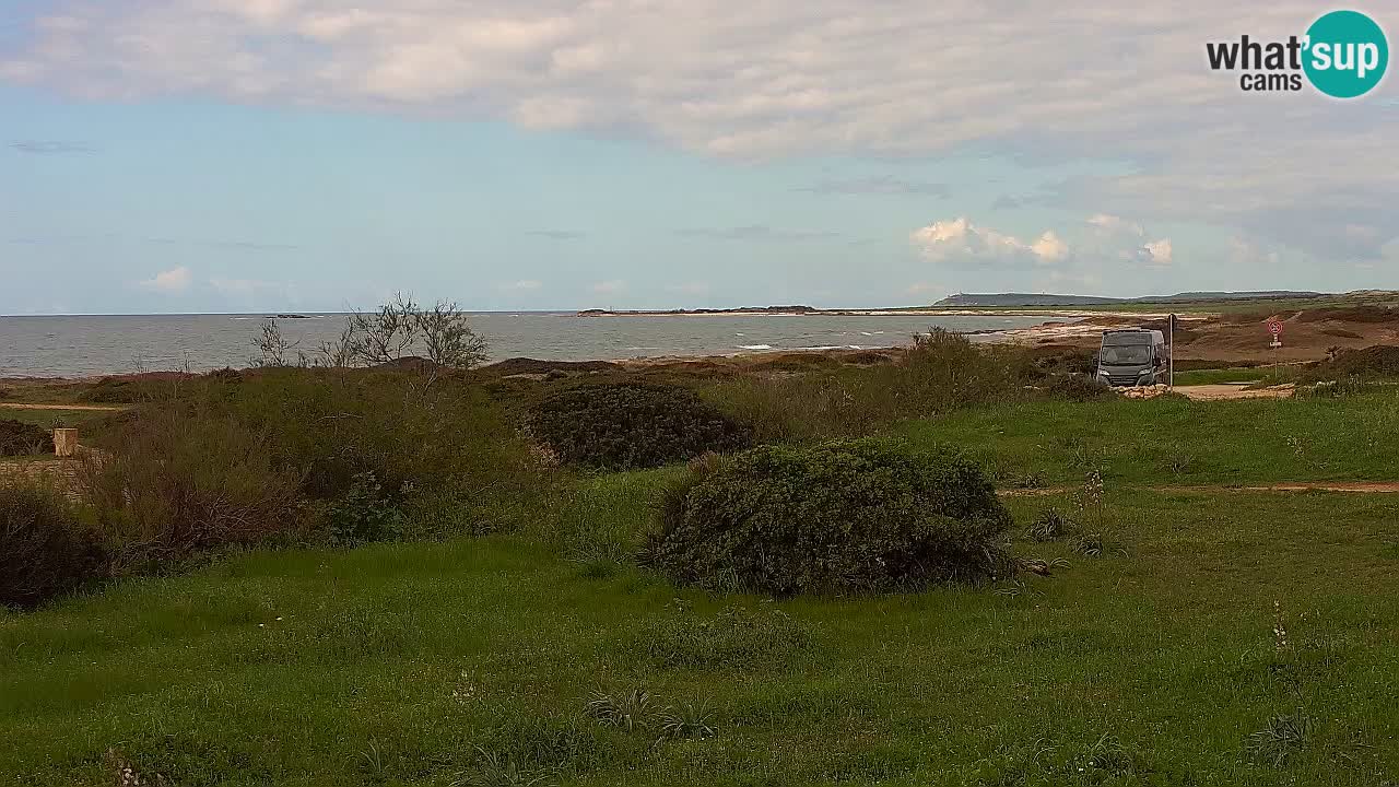 Plaža Mari Ermi | Is Arutas – Oristano