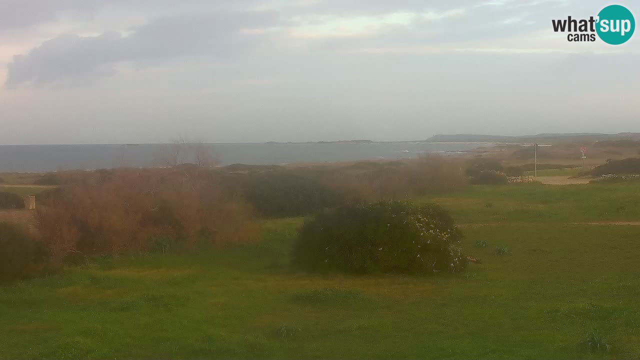 Plaža Mari Ermi | Is Arutas – Oristano