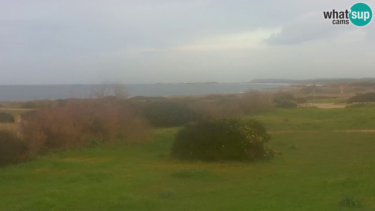 Playa Mari Ermi | Is Arutas – Oristano