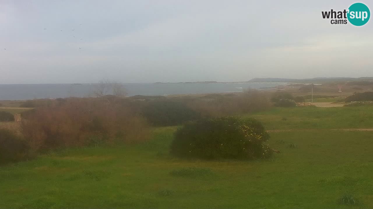 Spiaggia Mari Ermi | Is Arutas – Oristano