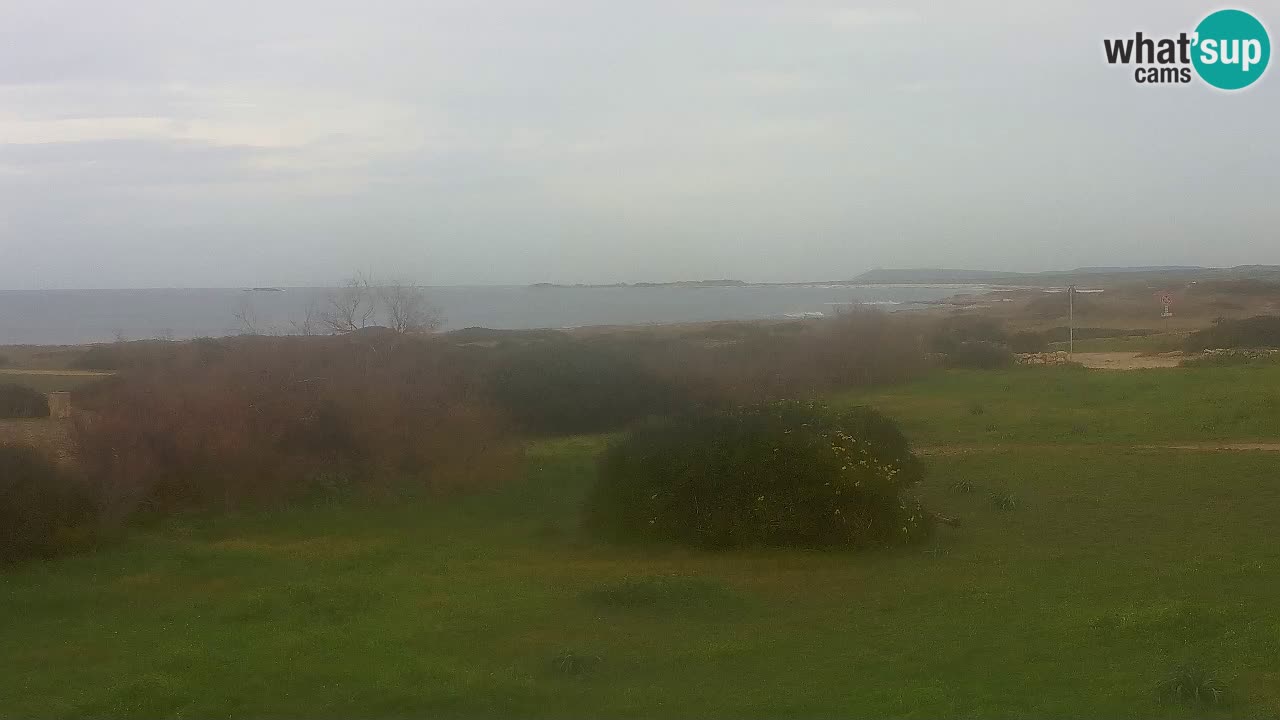 Plaža Mari Ermi | Is Arutas – Oristano