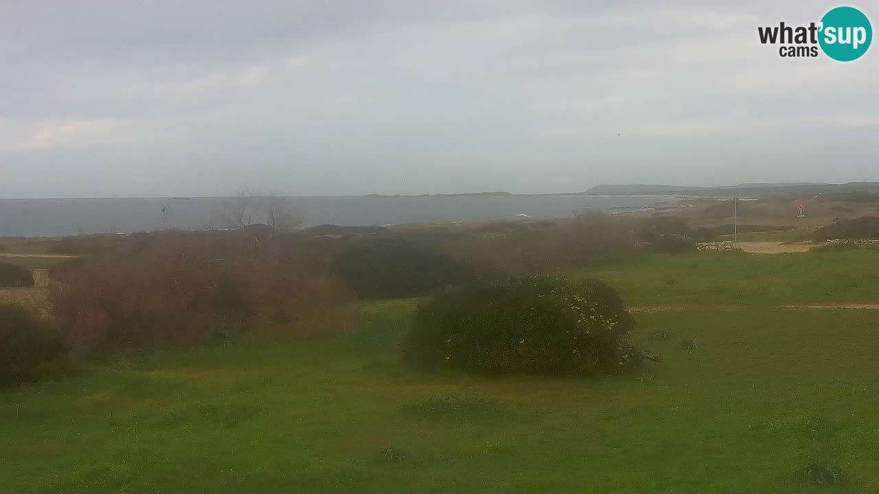 Spiaggia Mari Ermi | Is Arutas – Oristano