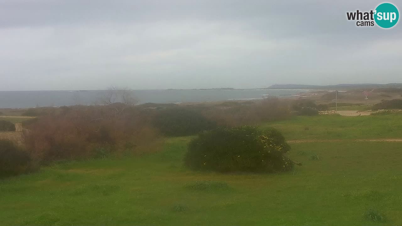 Spiaggia Mari Ermi | Is Arutas – Oristano