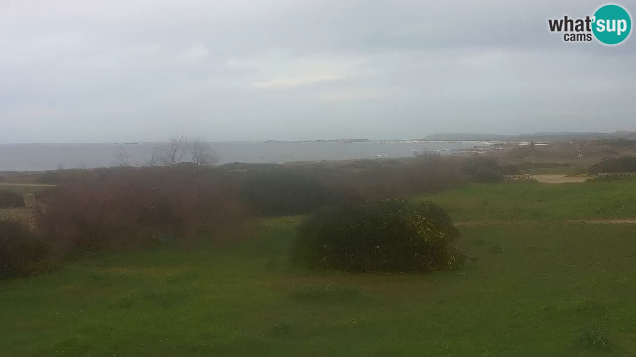 Playa Mari Ermi | Is Arutas – Oristano