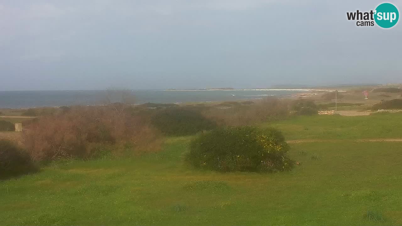 Playa Mari Ermi | Is Arutas – Oristano