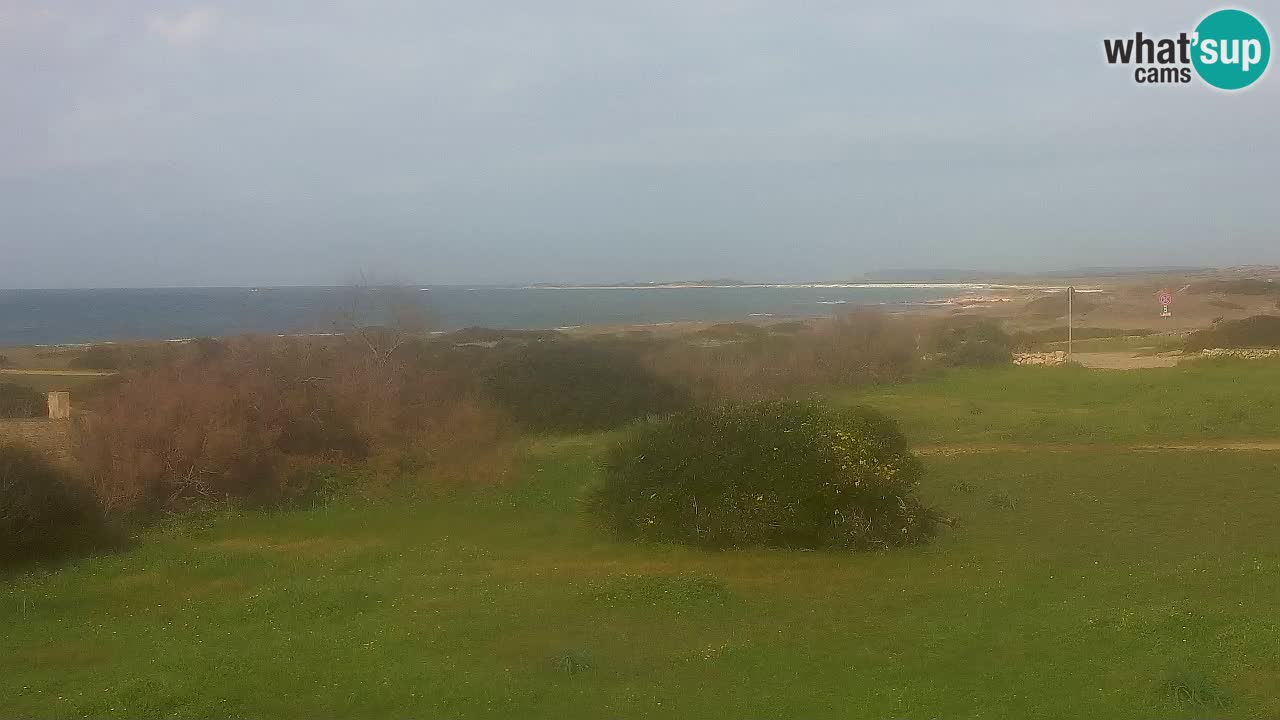 Plaža Mari Ermi | Is Arutas – Oristano