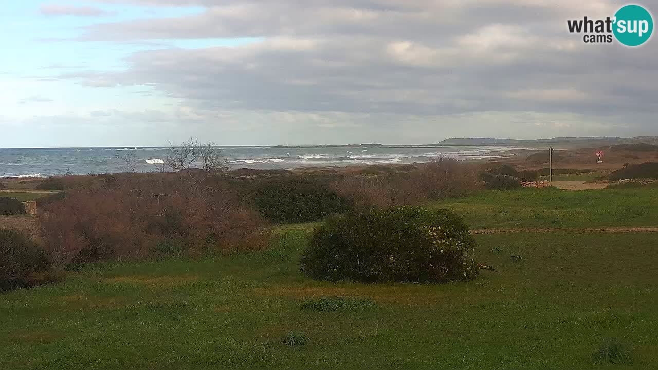 Mari Ermi Strand | Is Arutas – Oristano