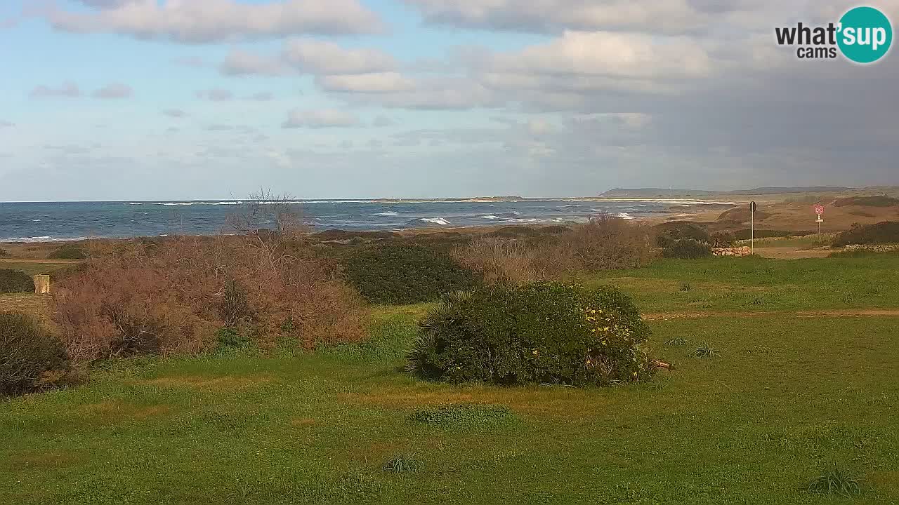 Mari Ermi Strand | Is Arutas – Oristano