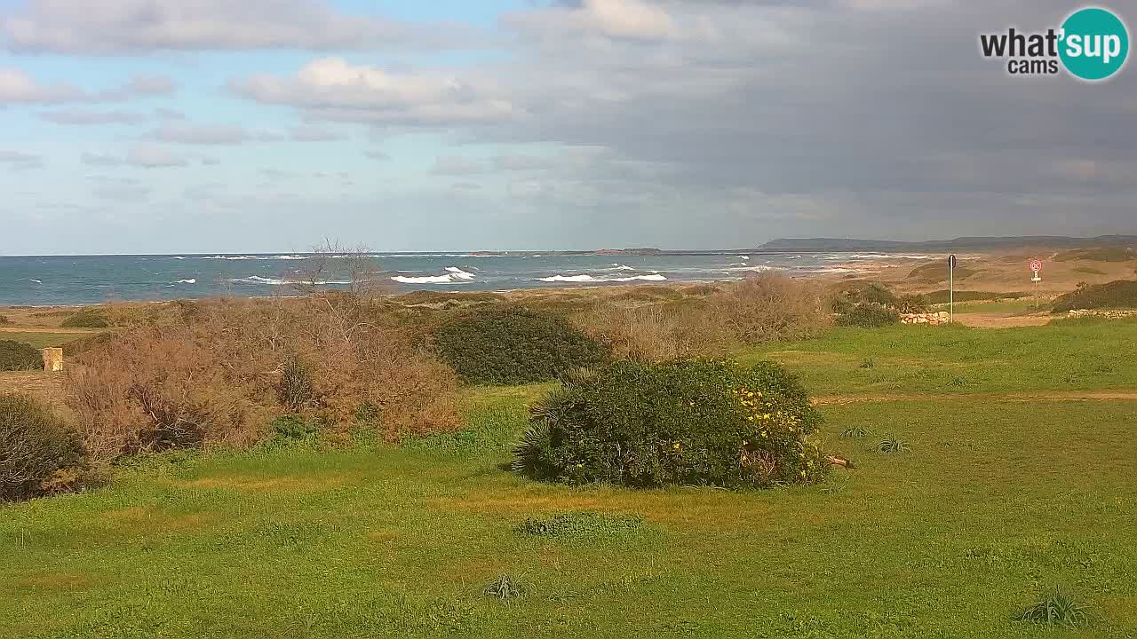 Playa Mari Ermi | Is Arutas – Oristano