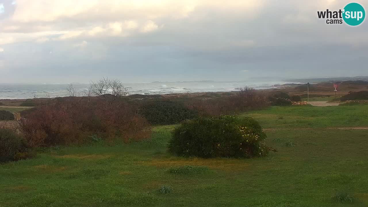 Spiaggia Mari Ermi | Is Arutas – Oristano
