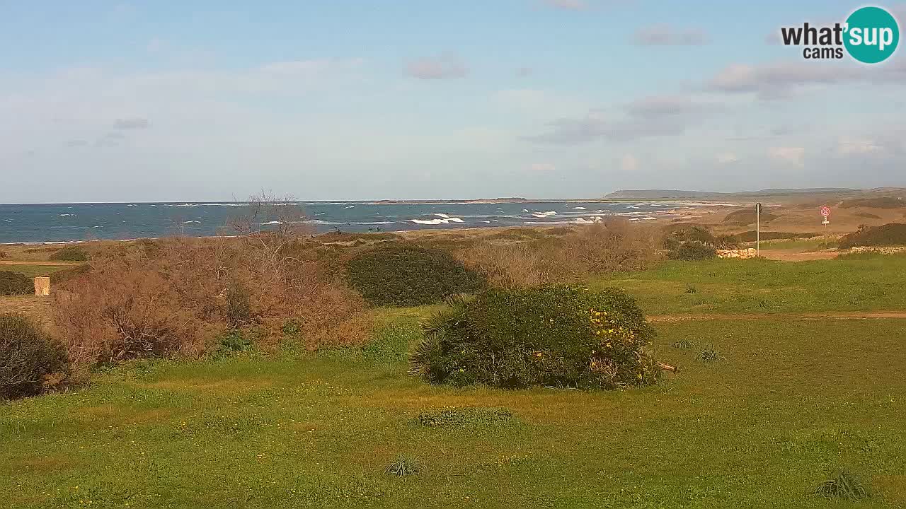 Plaža Mari Ermi | Is Arutas – Oristano