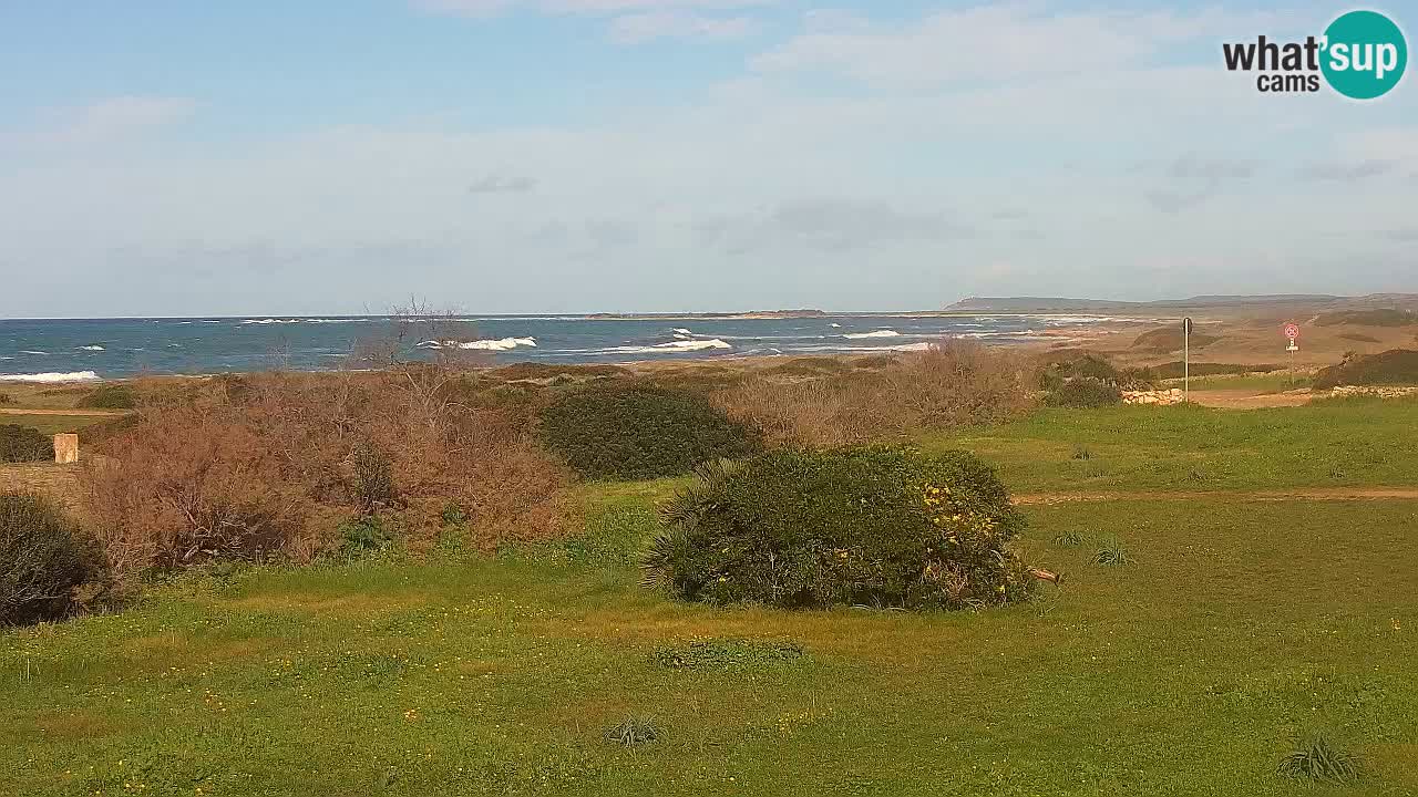 Mari Ermi Strand | Is Arutas – Oristano