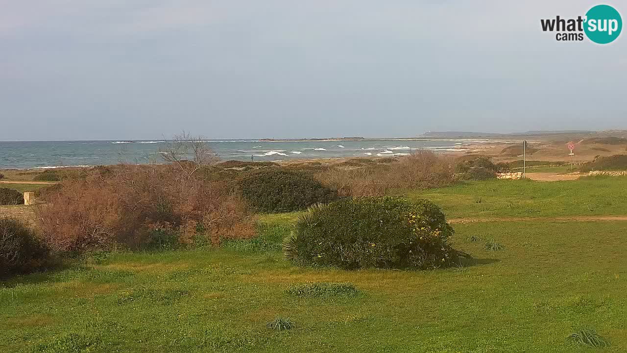 Plage Mari Ermi | Is Arutas – Oristano