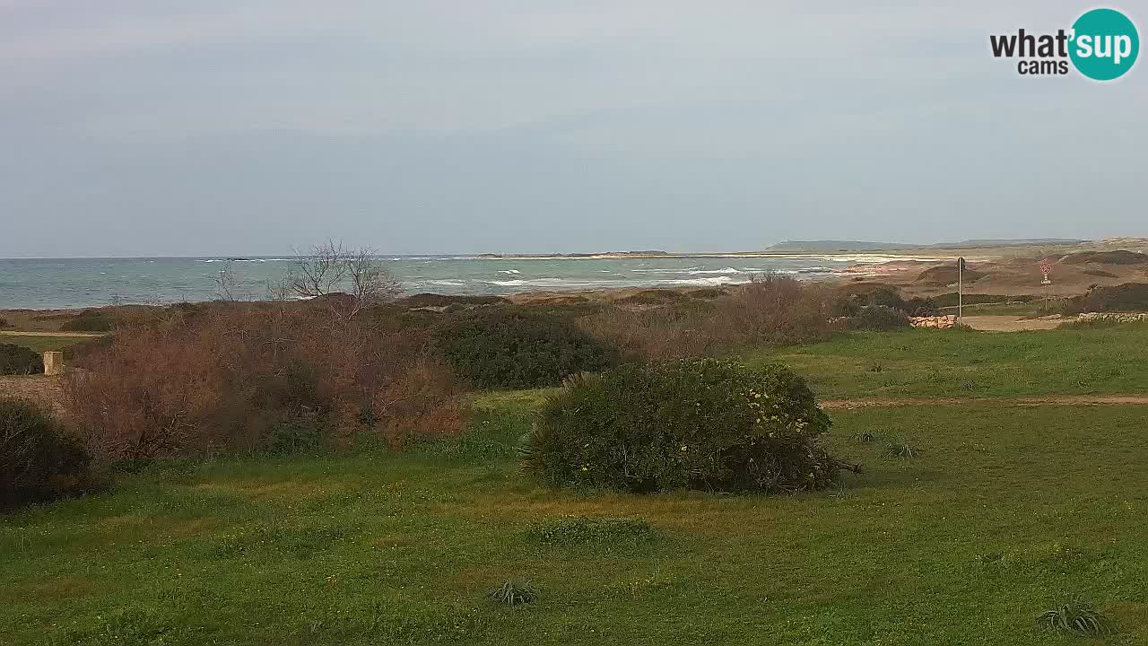 Mari Ermi beach | Is Arutas – Oristano