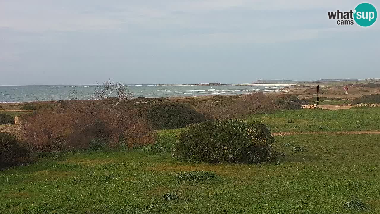 Mari Ermi Strand | Is Arutas – Oristano